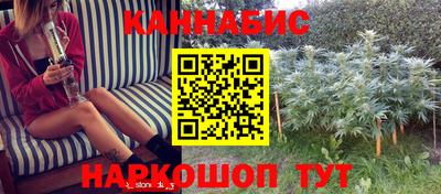 гидропоника Гусев