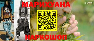 гидропоника Гусев