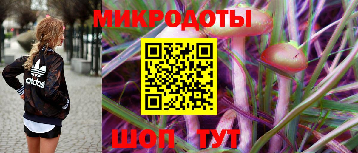 Галлюциногенные грибы GOLDEN TEACHER Михайловск